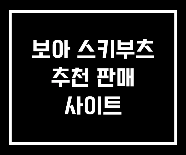 보아 스키부츠 추천 판매 사이트 보아 스키부츠 추천 판매 사이트