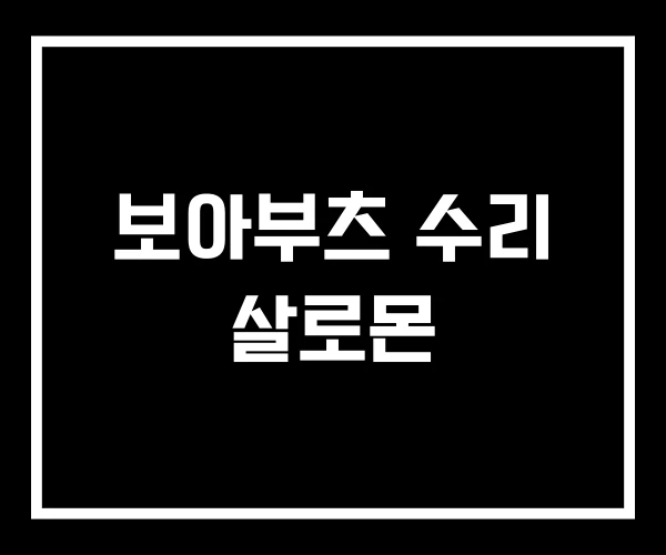 보아부츠 수리 살로몬