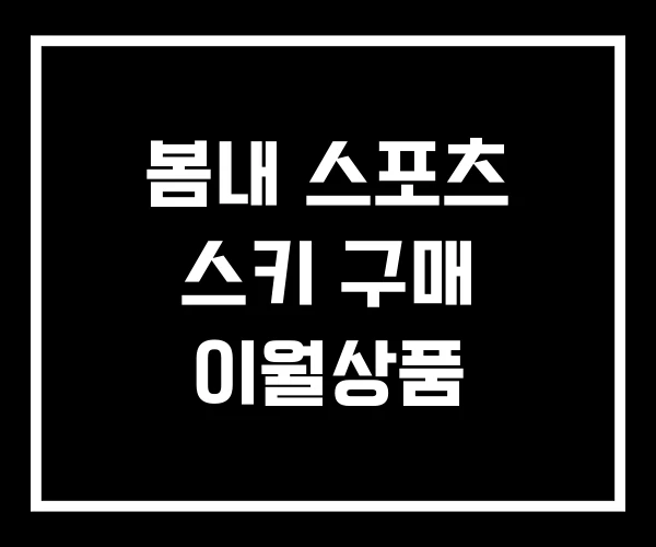 봄내 스포츠 스키 구매 이월상품