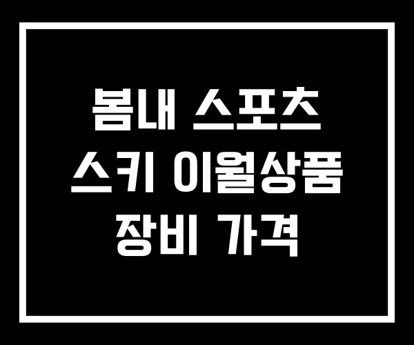 봄내 스포츠 스키 이월상품 장비 가격