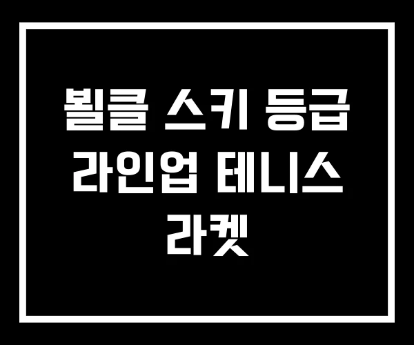 뵐클 스키 등급 라인업 테니스 라켓