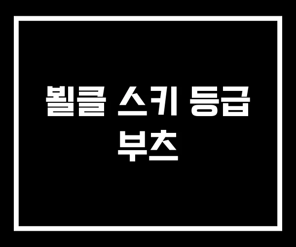 뵐클 스키 등급 부츠