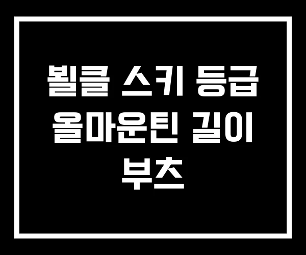 뵐클 스키 등급 올마운틴 길이 부츠