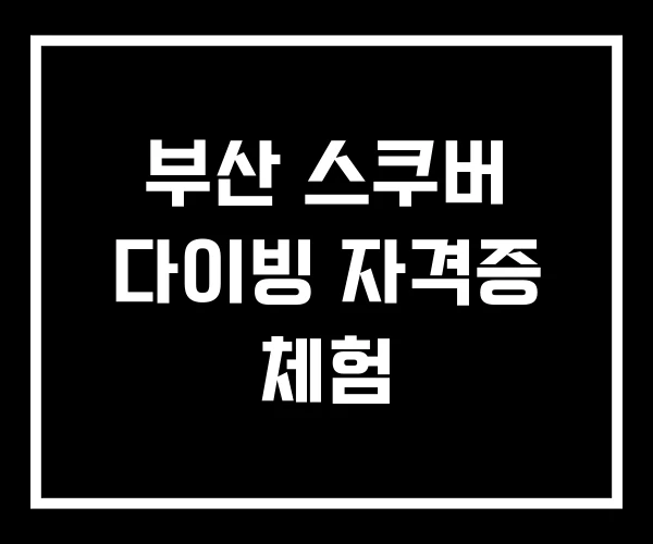 부산 스쿠버 다이빙 자격증 체험