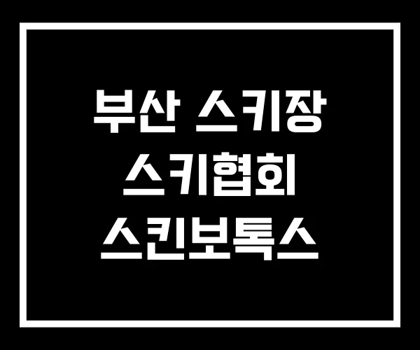 부산 스키장 스키협회 스킨보톡스