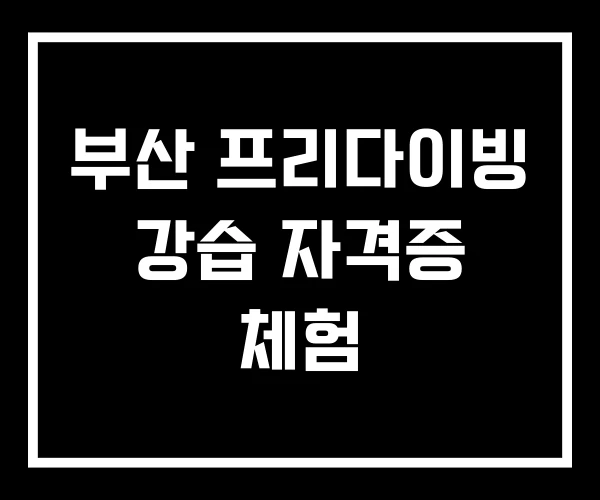부산 프리다이빙 강습 자격증 체험