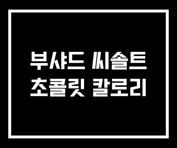 부샤드 씨솔트 초콜릿 칼로리