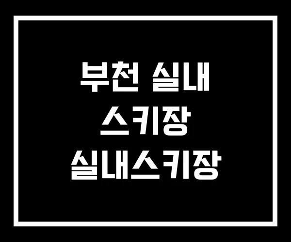 부천 실내 스키장 실내스키장