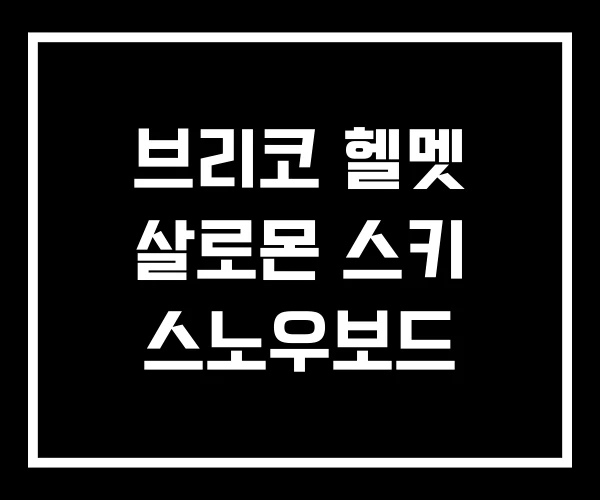 브리코 헬멧 살로몬 스키 스노우보드