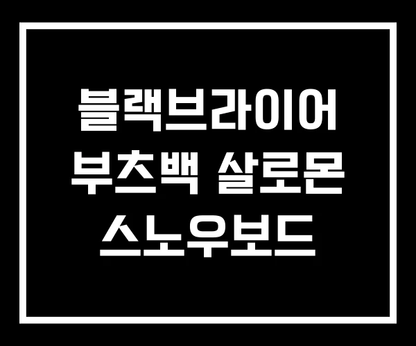 블랙브라이어 부츠백 살로몬 스노우보드