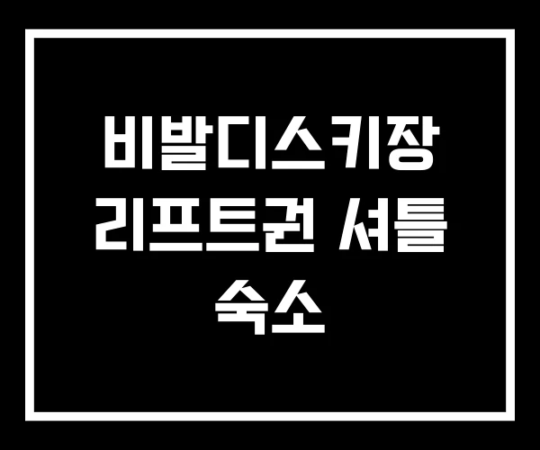 비발디스키장 리프트권 셔틀 숙소