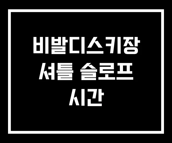 비발디스키장 셔틀 슬로프 시간