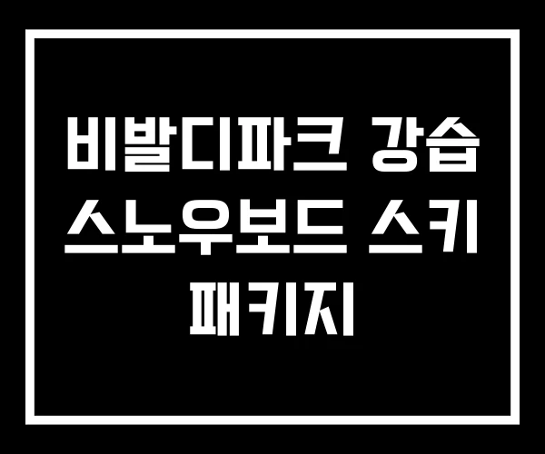 비발디파크 강습 스노우보드 스키 패키지
