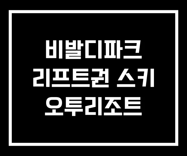 비발디파크 리프트권 스키 오투리조트