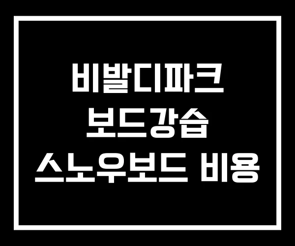 비발디파크 보드강습 스노우보드 비용