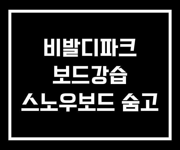 비발디파크 보드강습 스노우보드 숨고