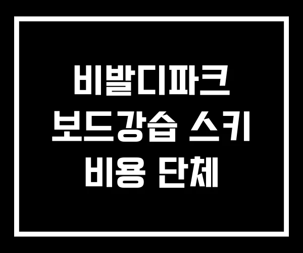 비발디파크 보드강습 스키 비용 단체