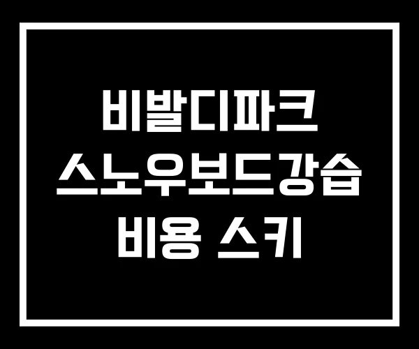비발디파크 스노우보드강습 비용 스키