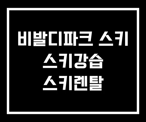 비발디파크 스키 스키강습 스키렌탈 비발디파크 스키 스키강습 스키렌탈