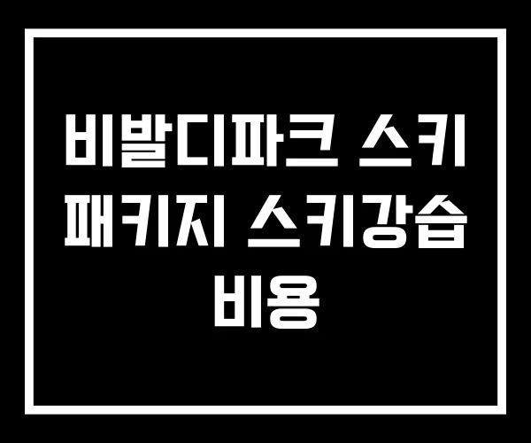 비발디파크 스키 패키지 스키강습 비용