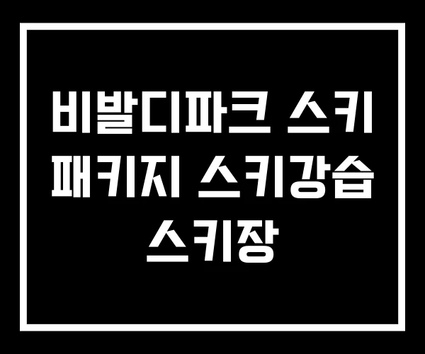 비발디파크 스키 패키지 스키강습 스키장 비발디파크 스키 패키지 스키강습 스키장
