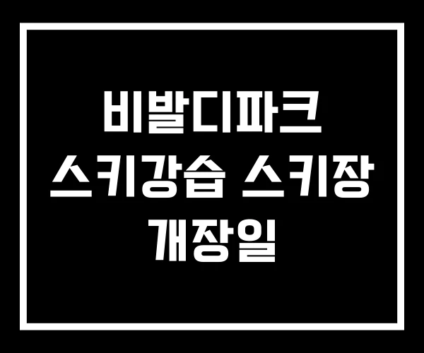 비발디파크 스키강습 스키장 개장일
