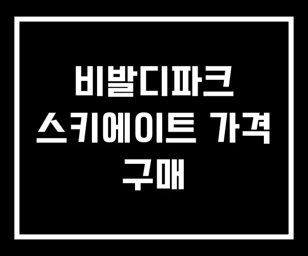 비발디파크 스키에이트 가격 구매
