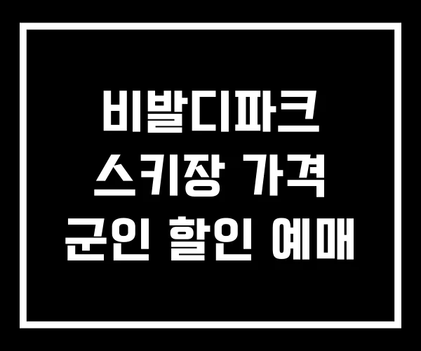 비발디파크 스키장 가격 군인 할인 예매