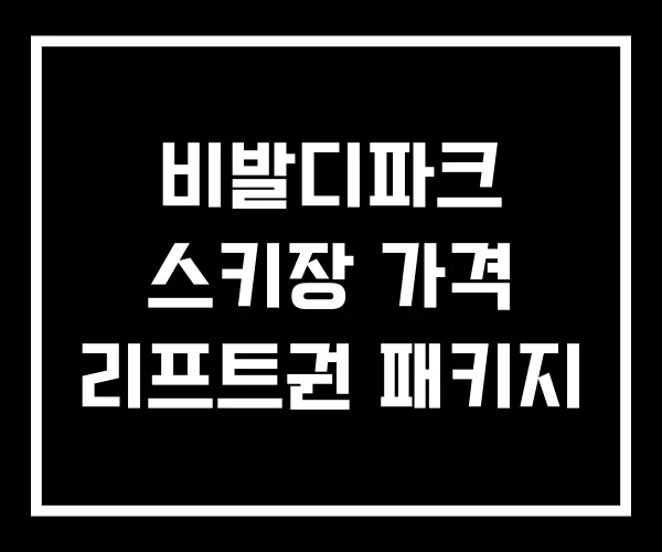 비발디파크 스키장 가격 리프트권 패키지