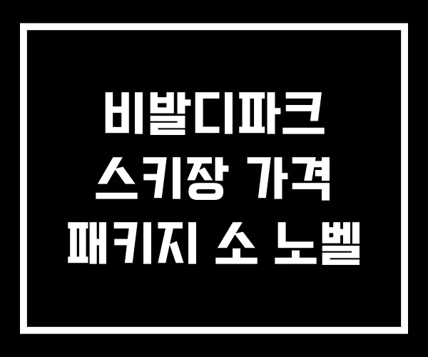 비발디파크 스키장 가격 패키지 소 노벨
