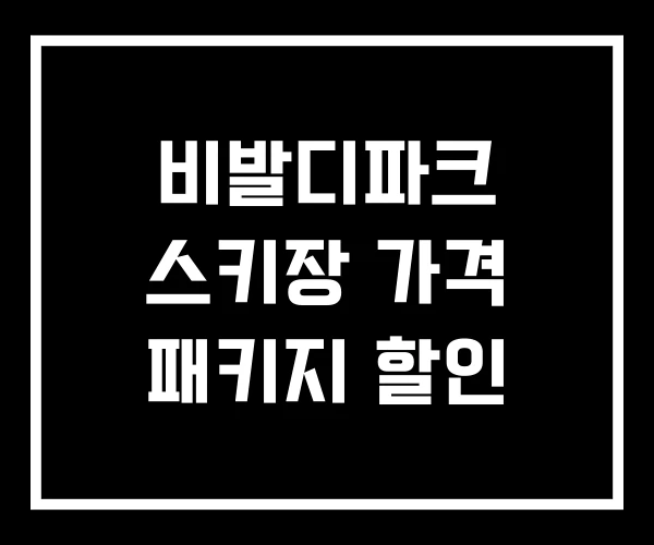 비발디파크 스키장 가격 패키지 할인