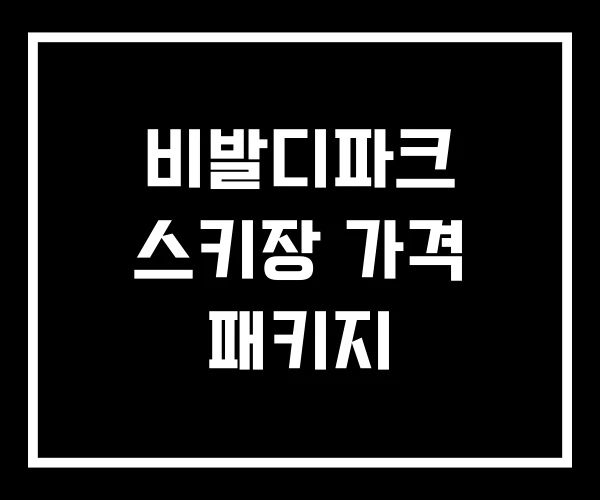 비발디파크 스키장 가격 패키지