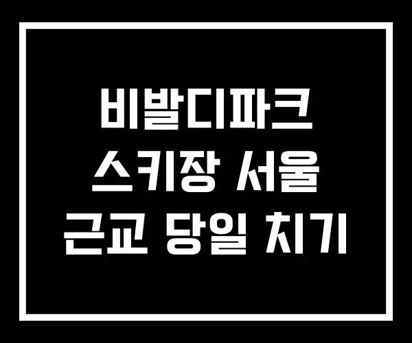 비발디파크 스키장 서울 근교 당일 치기