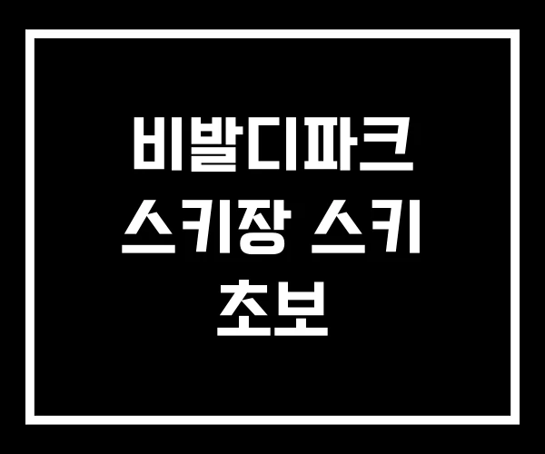 비발디파크 스키장 스키 초보