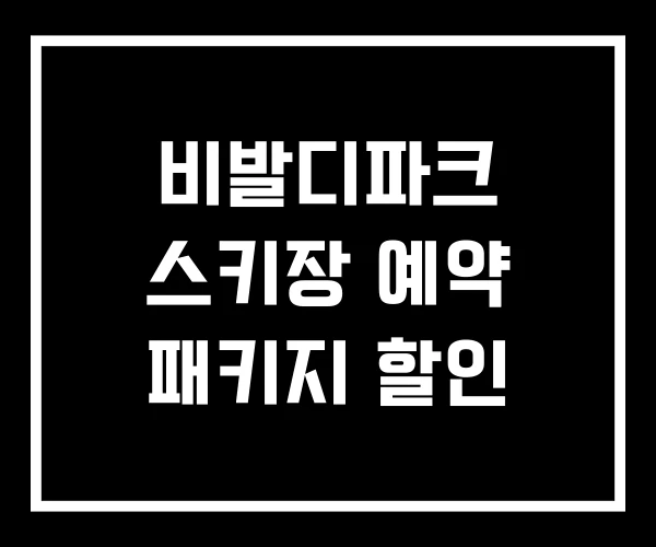 비발디파크 스키장 예약 패키지 할인