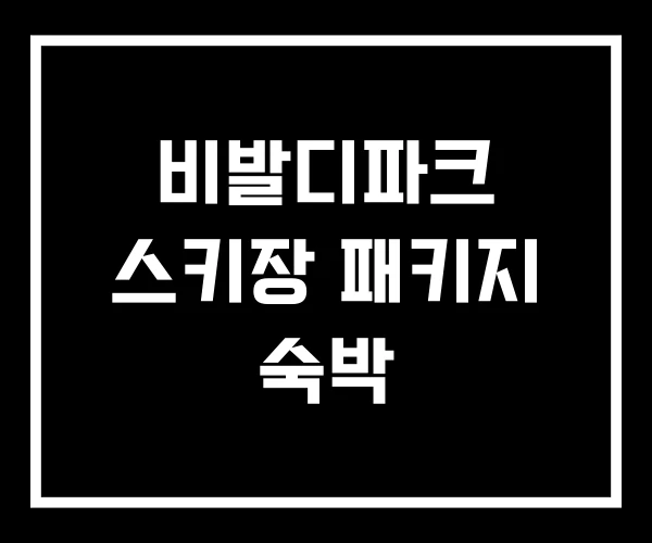비발디파크 스키장 패키지 숙박