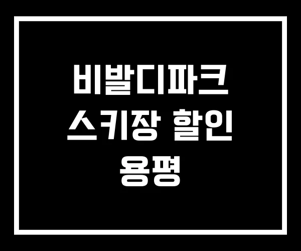 비발디파크 스키장 할인 용평