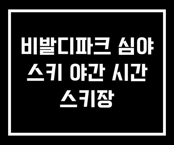 비발디파크 심야 스키 야간 시간 스키장