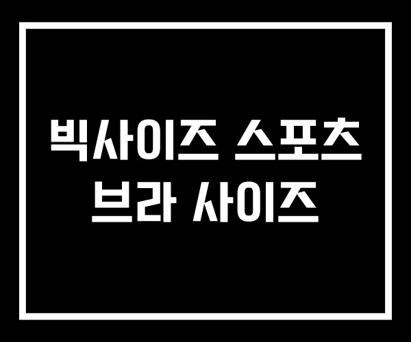 빅사이즈 스포츠 브라 사이즈