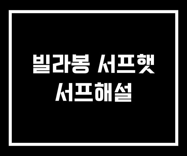 빌라봉 서프햇 서프해설