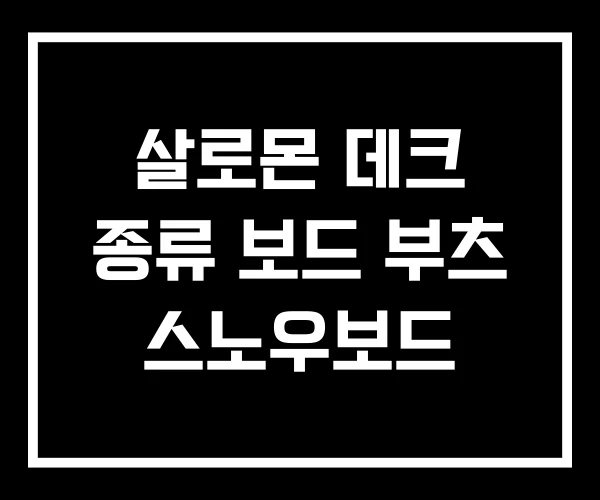 살로몬 데크 종류 보드 부츠 스노우보드