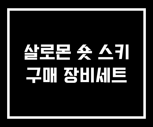 살로몬 숏 스키 구매 장비세트