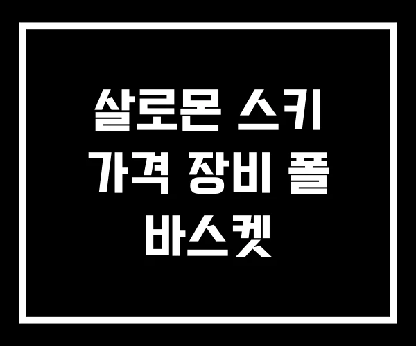 살로몬 스키 가격 장비 폴 바스켓