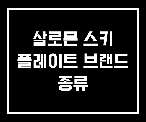 살로몬 스키 플레이트 브랜드 종류