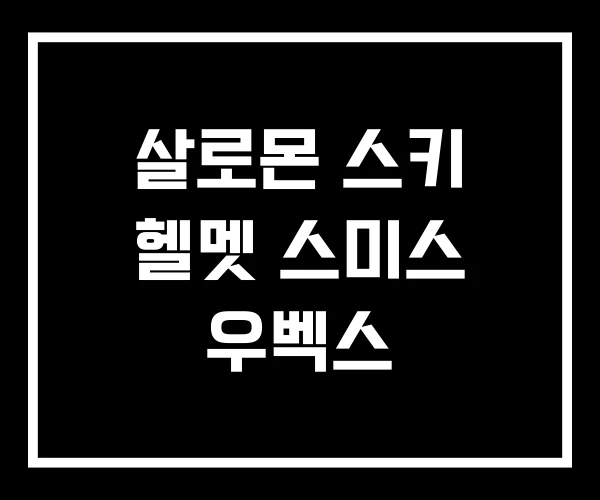 살로몬 스키 헬멧 스미스 우벡스 살로몬 스키 헬멧 스미스 우벡스