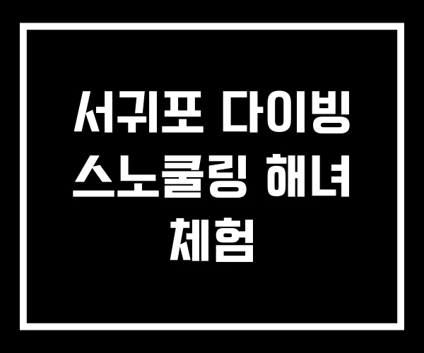 서귀포 다이빙 스노쿨링 해녀 체험 서귀포 다이빙 스노쿨링 해녀 체험