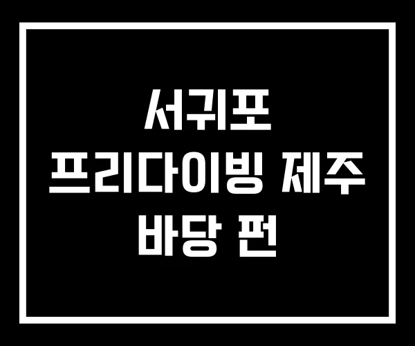 서귀포 프리다이빙 제주 바당 펀