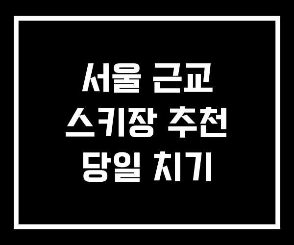 서울 근교 스키장 추천 당일 치기 서울 근교 스키장 추천 당일 치기