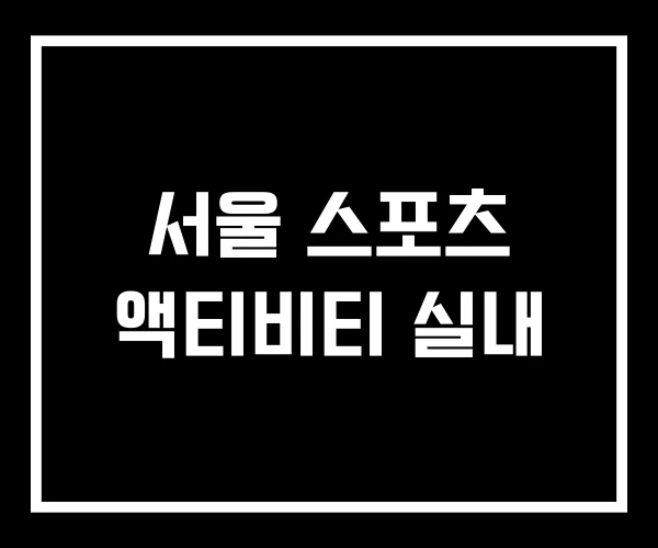 서울 스포츠 액티비티 실내 서울 스포츠 액티비티 실내
