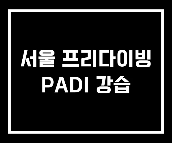 서울 프리다이빙 PADI 강습